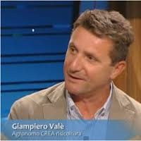 giampiero-vale.png