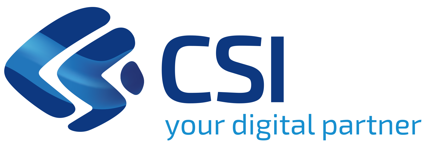 logo_CSI2020_RGB