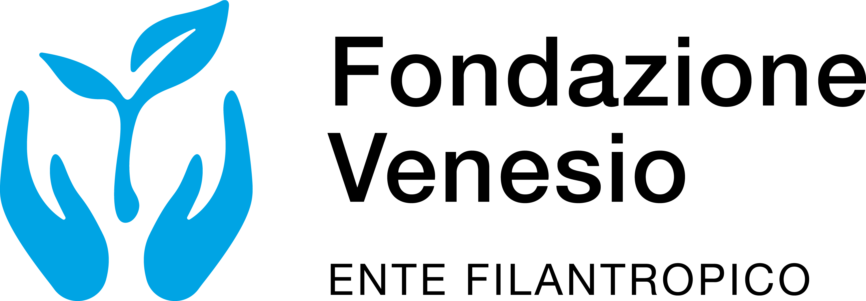 logo Fondazione Venesio